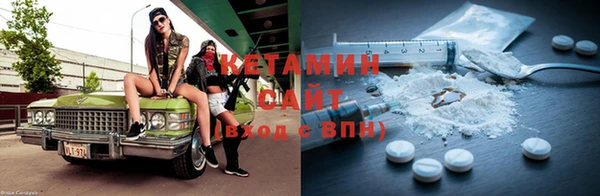 шишки Арсеньев