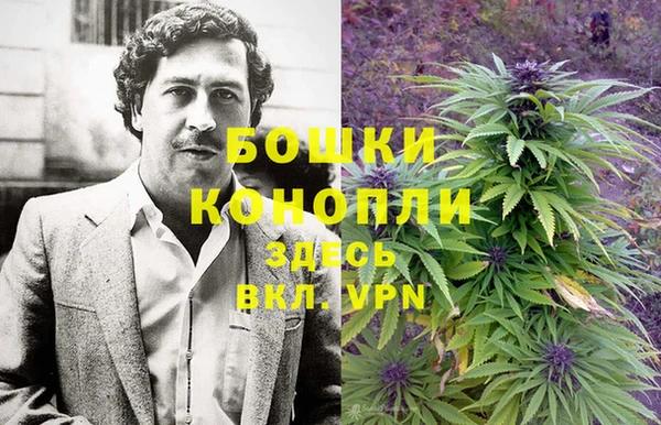 шишки Арсеньев