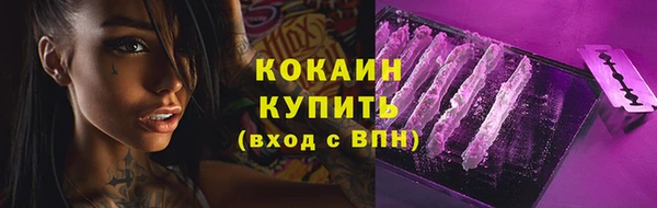 тгк Аркадак