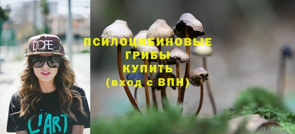 тгк Аркадак