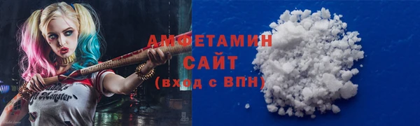 шишки Арсеньев