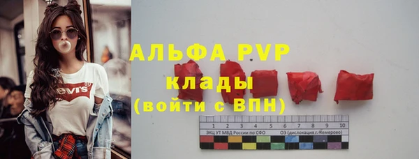 шишки Арсеньев