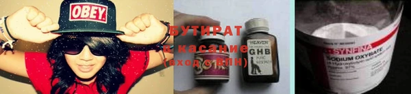 шишки Арсеньев